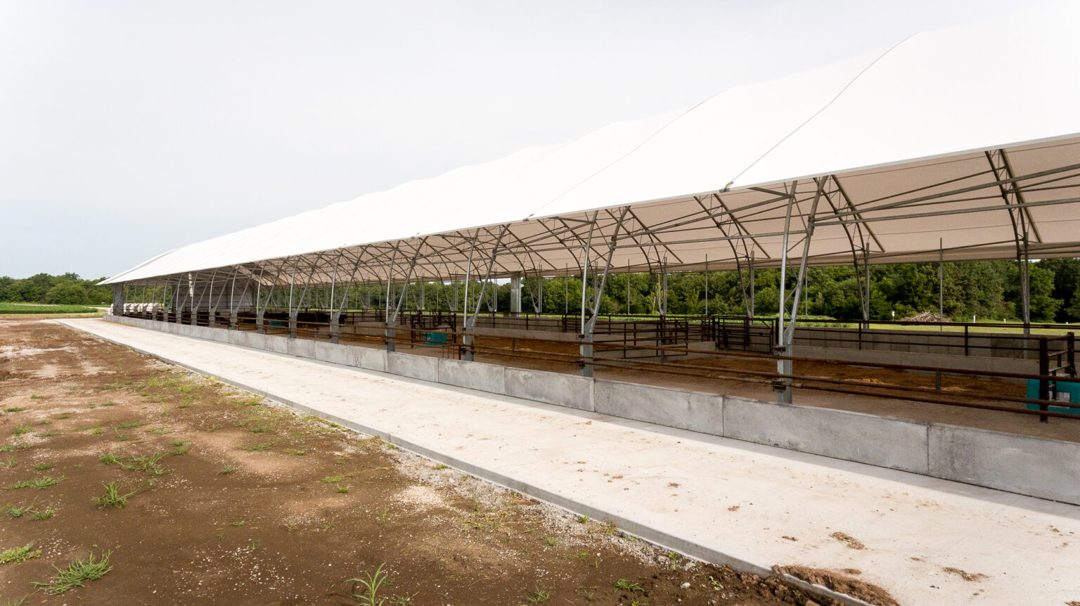 Accu-Steel Bed-Pack Cattle Barn - 50' X 368' - Central Confinement ...